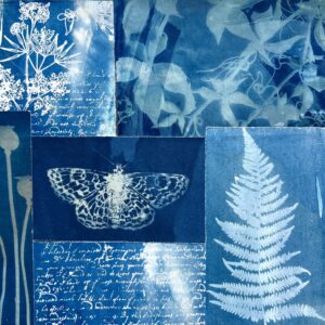 Catherine Rye: Fritilliary - A collage of Cyanotype prints of fern, leaves and butterfly