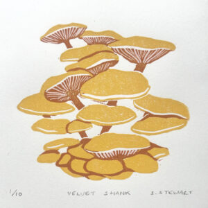 Sally-Anne Stewart OAS: 'Velvet shank' linocut print