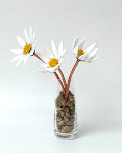 Alison Blanchard OCG, WOA: Vase of daisies