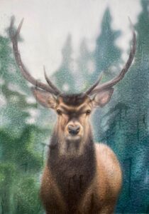 Emma Wicks: The Watcher - Coloured Pencil Drawing