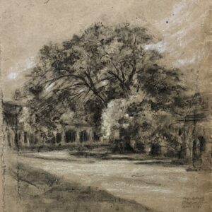 Emma Coleman-Jones OAS: Holm Oak, New College Cloisters