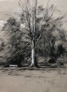 Emma Coleman-Jones OAS: Copper beech, winter, University Parks