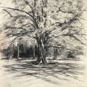 Emma Coleman-Jones OAS: Spring Beech, University Parks