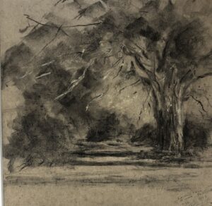 Emma Coleman-Jones OAS: Autumn, London Plane, University Parks