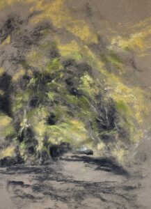 Emma Coleman-Jones OAS: Beeches, University Parks
