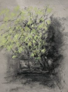 Emma Coleman-Jones OAS: Spring in the Lamb and Flag Passage