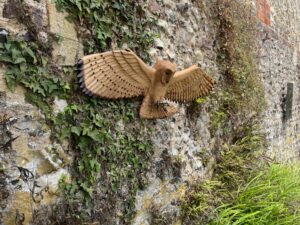 Andrew Binnie: Barn Owl