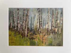 Amanda Bond OAS: SILVER BIRCHES - oil on paper
