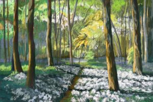 Joanne Lillywhite: Wild Garlic Wander
