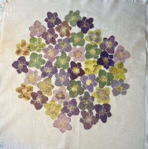 Clodagh Green: floating hellebores