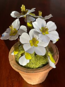 Claire Fyfe-Jackson: Christmas roses metal sculpture