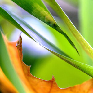 Oxford Photographers: Photo © John Duncan | Out of the ordinary