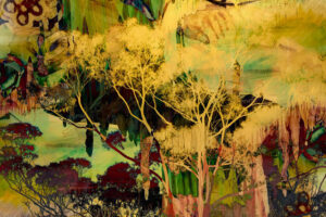 Jane Stillwell: Wild Places