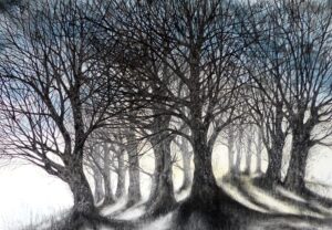 Sue Side OAS: Liminal Space