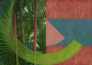 Chris Jennings: Lipstick Palm