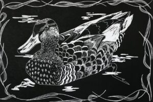 Hannah Farncombe: Linoprint of Female Mallard