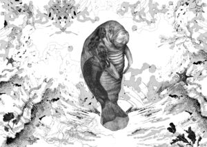 Harriet Allan: Mermaid and manatee, doodle into digital art