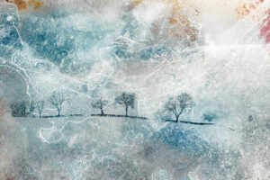 Jane Stillwell: North Wind