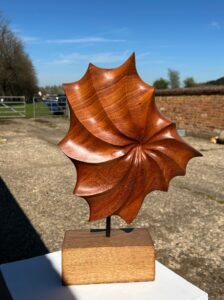Andrew Binnie: Organic shell