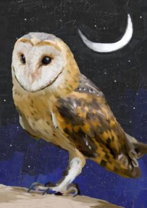 Val Hughes: Owl out Hunting - A hand painted digital watercolour. Framed size 30x40cm
