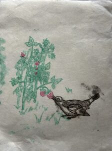 Davide Barbero: A bird stealing a raspberry