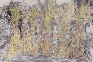 Rhiannon Evans: The sheaves we tied together ( 2025) Pencil,  watercolour, egg tempera transparent vellum paper  29.7 x 21cms, Heritage Wheat Project Documentation, Bridge Street Community Garden, Banbury