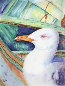 Paul Apte: Curious seagull, Rovinj, Croatia