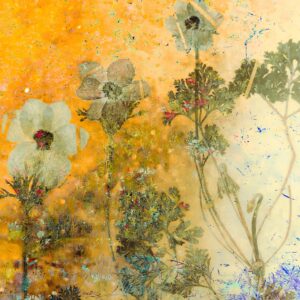 Jane Stillwell: Saffron shimmer