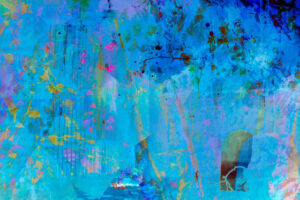 Jane Stillwell: Sanctuary