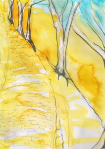Rachel Hopkins OAS: Causeway Walk III