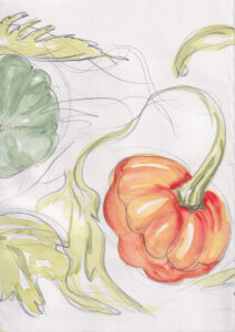 Rachel Hopkins OAS: Allotment Walk I