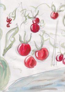 Rachel Hopkins OAS: Allotment Walk II