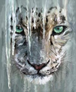 Val Hughes: Snow Leopard - A hand painted digital watercolour. Framed size 30x40cm