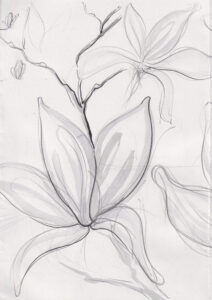 Rachel Hopkins OAS: Magnolia Triptych I
