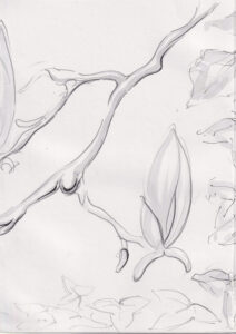 Rachel Hopkins OAS: Magnolia Triptych III