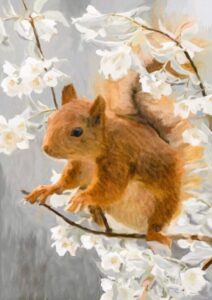 Val Hughes: Squirrel blossom - A hand painted digital watercolour. Framed size 30x40cm