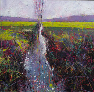 Chris Matthews: Summer stream