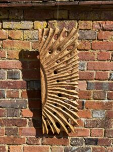 Andrew Binnie: Sunburst