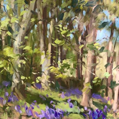 Swalcliffe Bluebells