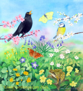 Jane Tomlinson: The Arrival of Spring by Jane Tomlinson  - original painting £375
