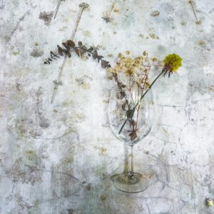 Jane Stillwell: The looking glass