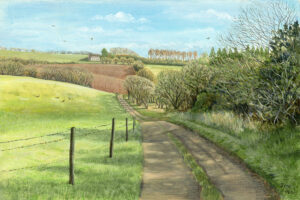 Jane Peart OAS, OPC: 'Country Track' - Stonesfield, Oxfordshire, an acrylic painting. A walk in the countryside in early spring