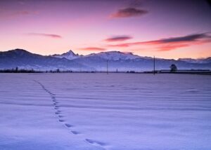 Stuart Feurtado: Animal tracks in snow leading to Italian Alps in evening light