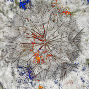 Jane Stillwell: Transience