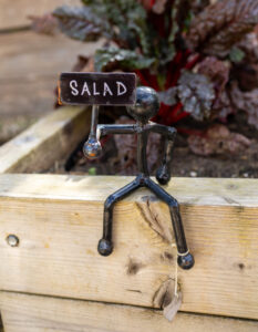 Nick Thorn: Salad Sentinel