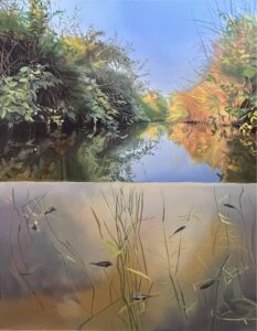 Rebecca Carrozza: The Waterditch - The Springline walking route