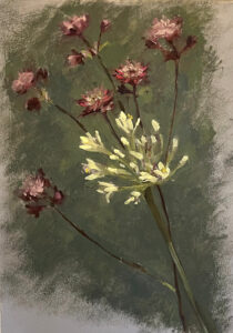 Lucy Priest: White Agapanthus & Astrantia, 2026, oil on paper, 35 x 26cm