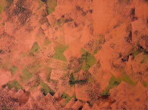 Kelly Washbourne: Wilderness 91 x 122cm Oil on canvas