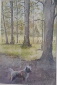 Jennie Fairweather: Yogi in the New Forest: watercolour on paper, mount and framed.  Not for sale