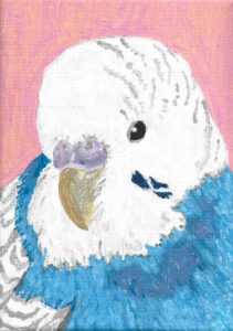 Lola Knopp: Baby Boy (acrylic on canvas) a young budgie fledges from the nest box, a bright look of innocence upon his face